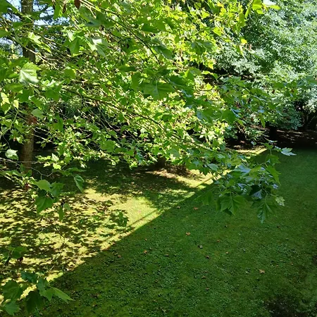 Unisotel Valenciennes Ex-hotel F1 Hotell